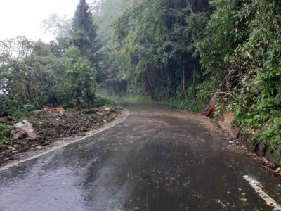 10-5月22日大雪山林道30.5k 發生倒木及落石  已清理完成